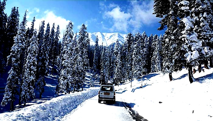 Best snowfall places in india in December: स्नोफॉल के हैं शौकीन तो आपको इस जगह जरूर जाना चाहिए 
